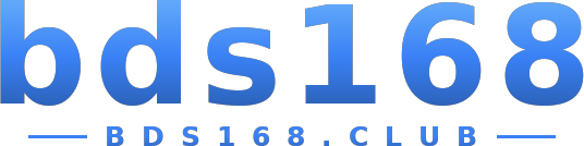 bds168 logo